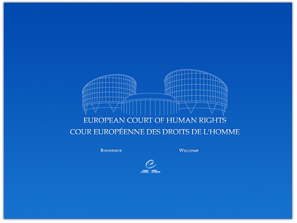 La Cour européenne des droits de l'homme et la liberté d'expression d'un homme politique